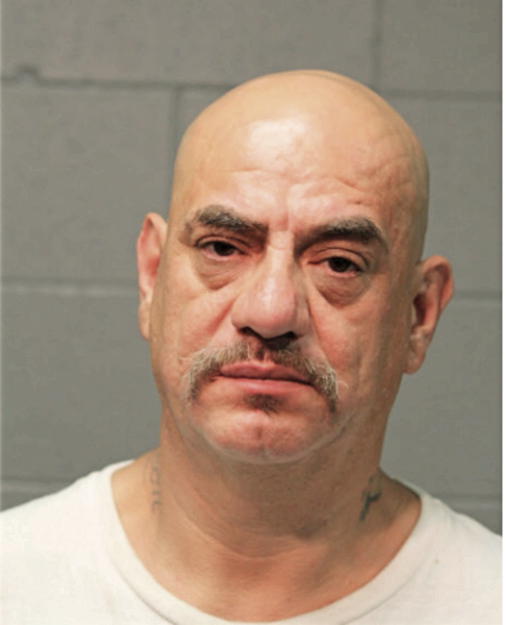 JOSE L LEON, Cook County, Illinois