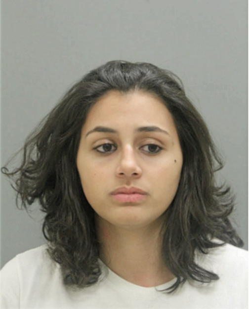 ANA LIMA, Cook County, Illinois