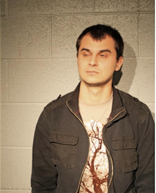 ADNAN LJUBIJANKIC, Cook County, Illinois