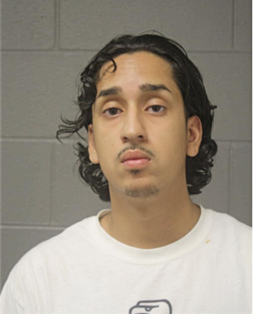 LEONARDO D LOMELI-HERNANDEZ, Cook County, Illinois