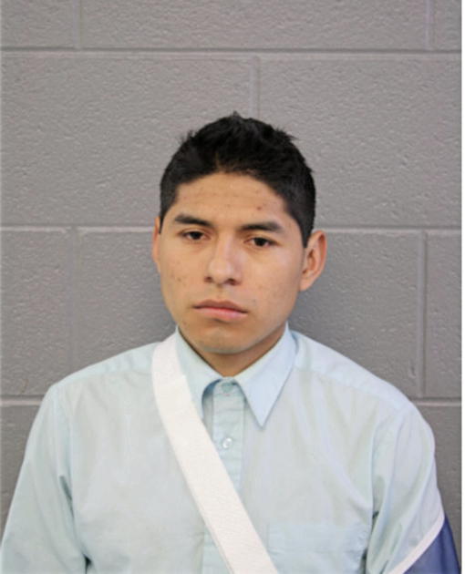 GUSTAVO LUZ, Cook County, Illinois