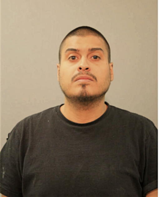 IGNACIO C MARTINEZ, Cook County, Illinois
