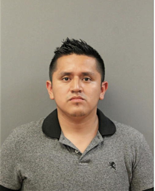 LUIS W MIZHQUIRI, Cook County, Illinois