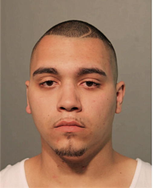 LUIS E OFRAY, Cook County, Illinois