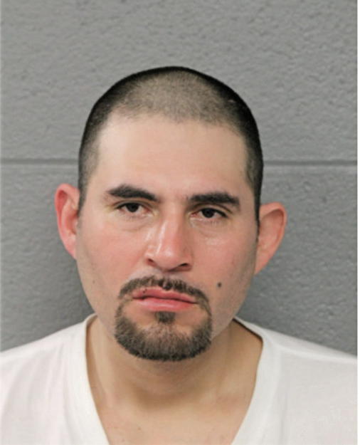 IRVIN DE PAZ, Cook County, Illinois