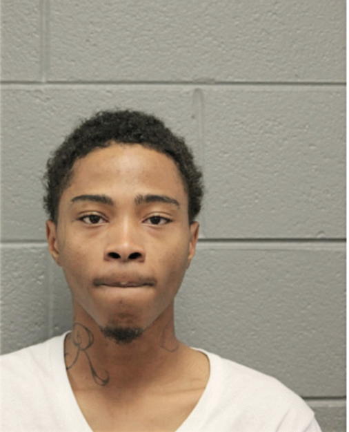 PARIS RIVERA, Cook County, Illinois
