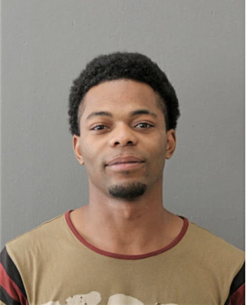 JOSHUA L STENSON, Cook County, Illinois
