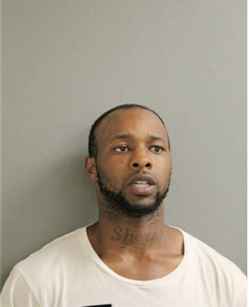ALVIN THOMPSON, Cook County, Illinois