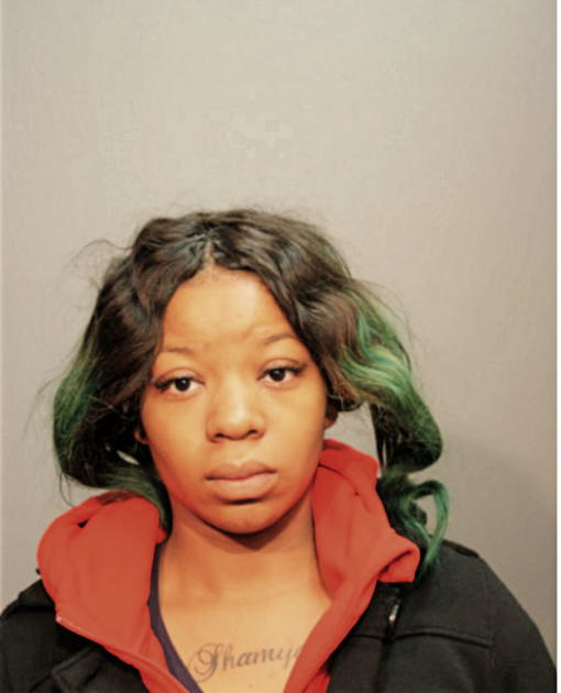 SADE S WILSON, Cook County, Illinois