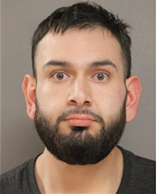 LUIS D ACEVEDO, Cook County, Illinois