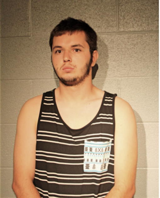 ADIN ALIHODZIC, Cook County, Illinois