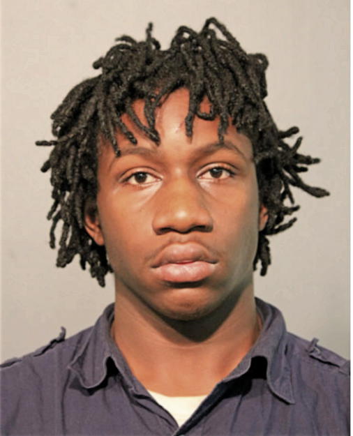 ERIC D CRAIG, Cook County, Illinois