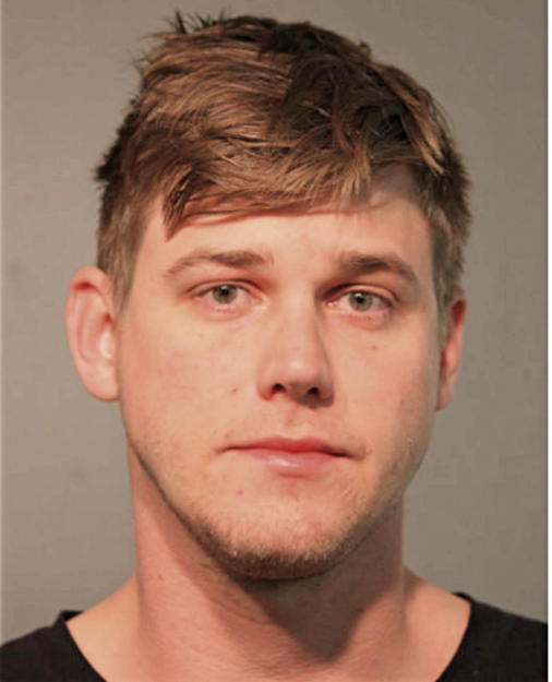 PAUL D ESPESETH, Cook County, Illinois