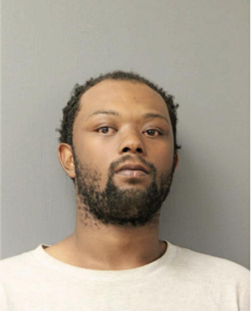 CAMERON L FORD, Cook County, Illinois