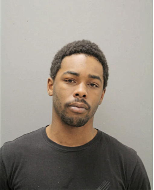 RASHEA D GAVIN, Cook County, Illinois