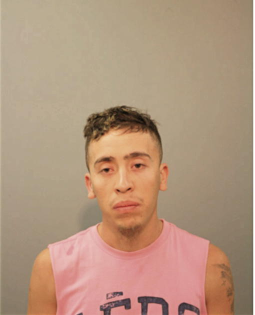 EVERADO GONZALEZ, Cook County, Illinois
