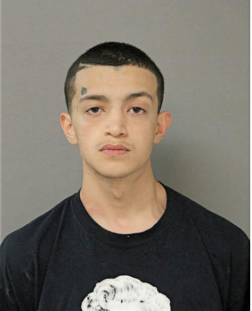 MANUEL GONZALEZ, Cook County, Illinois
