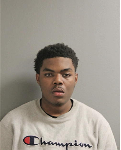 WILLIAM D HATHORNE, Cook County, Illinois