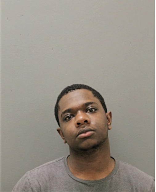 BRANDON K HEIDLEBURG, Cook County, Illinois