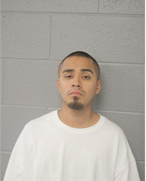 DIEGO E HERNANDEZ, Cook County, Illinois