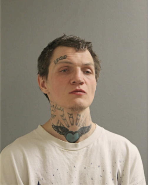 MICHAEL J CURTIN, Cook County, Illinois
