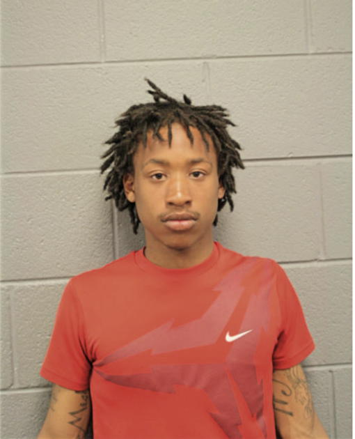 PIERRE C JOHNSON, Cook County, Illinois