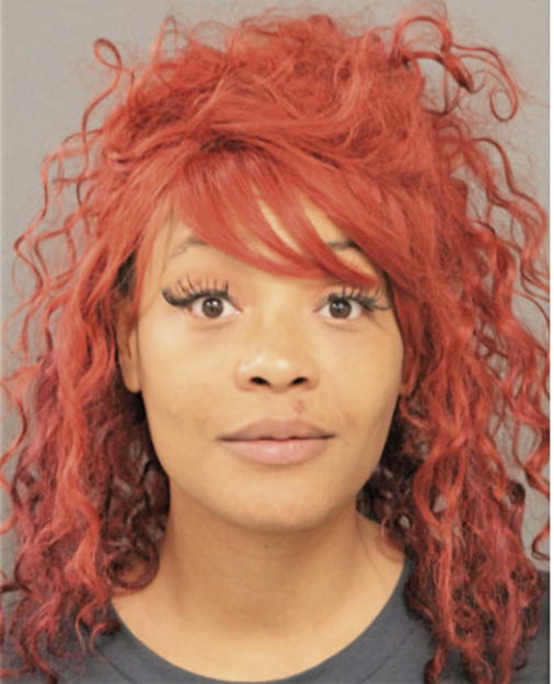 MIKIA C LEWIS, Cook County, Illinois