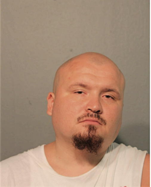 MARTIN W MANGUAL, Cook County, Illinois