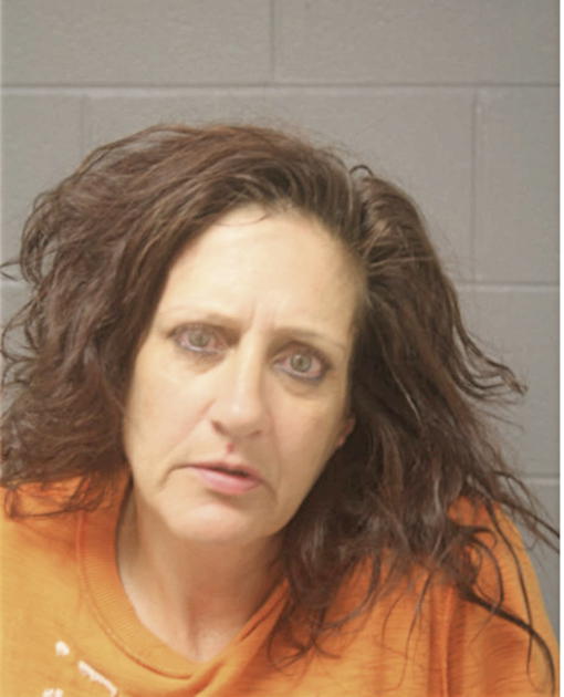 CARRIE A MEILZNSKI, Cook County, Illinois