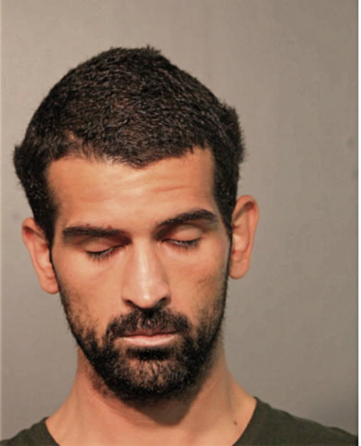 DAVID M MERCADO, Cook County, Illinois