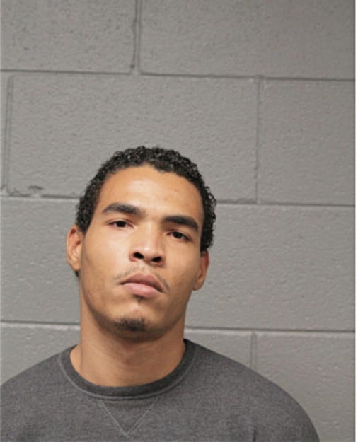 DANTE W MUELLER, Cook County, Illinois