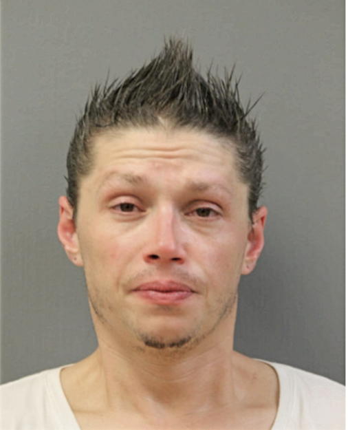 BRANDON LEE PALELLO, Cook County, Illinois