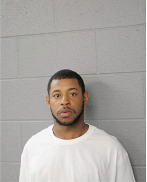 DEWAYNE A PERKINS, Cook County, Illinois