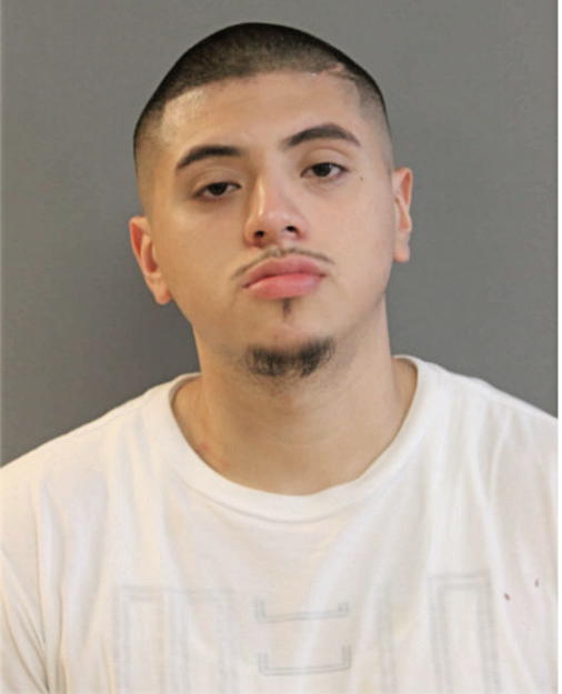RICHART ROGELIO, Cook County, Illinois