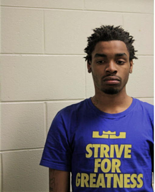 ANTHONY S SPRUILLE, Cook County, Illinois