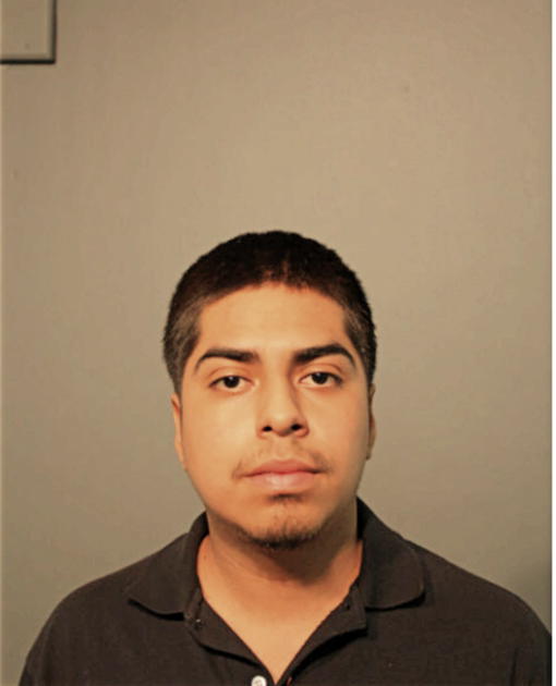 GUSTAVO ALONSO, Cook County, Illinois