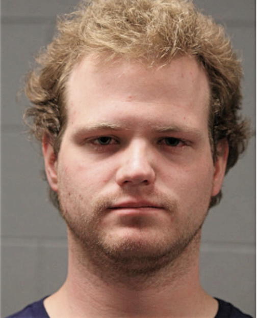 ANTHONY C AVERY, Cook County, Illinois