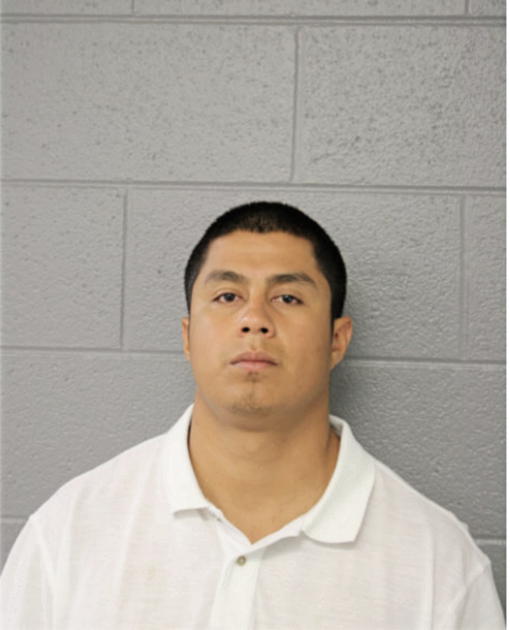 OMAR BERRONES, Cook County, Illinois