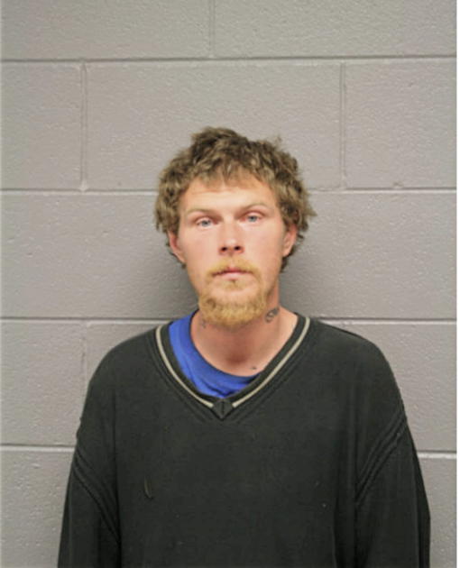 JASON BRISON, Cook County, Illinois