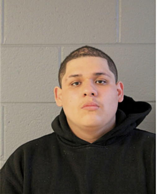 CARLOS GUZMAN, Cook County, Illinois