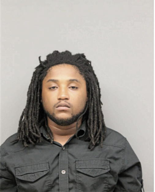 NATHANIEL E HICKS-JOHNSON, Cook County, Illinois