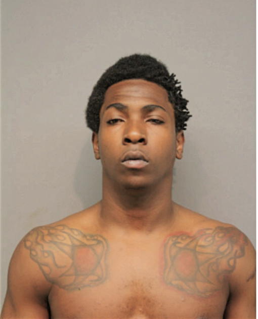 RAYMOND C JOHNSON, Cook County, Illinois