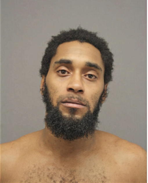CASEY W LANG, Cook County, Illinois