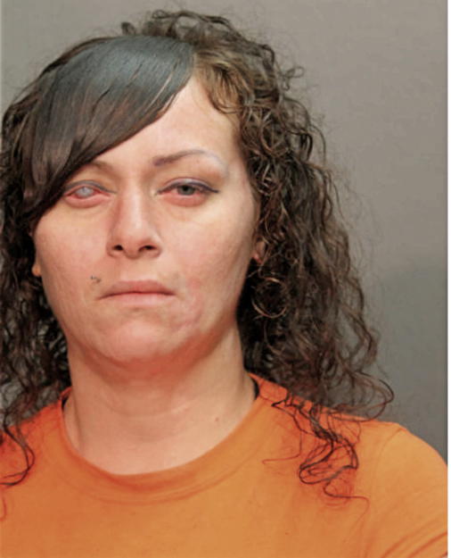 VICTORIA J LUGO, Cook County, Illinois