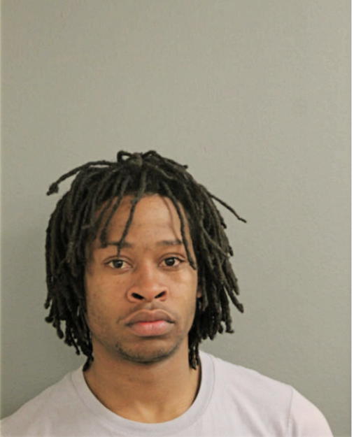 DANIEL G MCWILLIAMS, Cook County, Illinois
