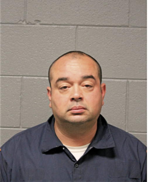 ANTHONY J MEDINA, Cook County, Illinois