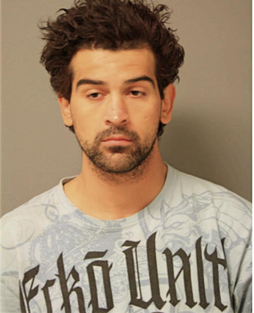 DAVID M MERCADO, Cook County, Illinois