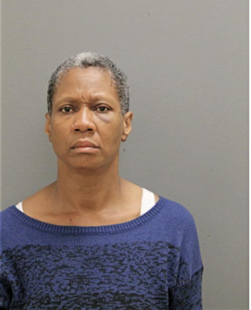 LISA A MILLER, Cook County, Illinois