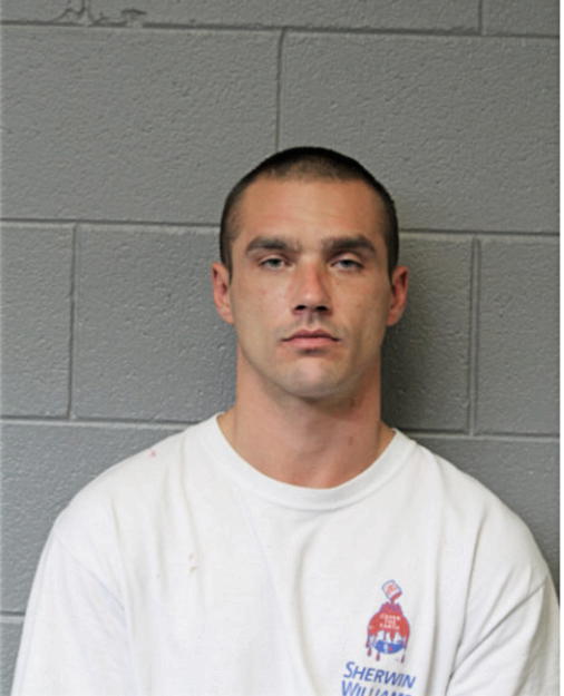 STEVEN E NEWBOLDS, Cook County, Illinois
