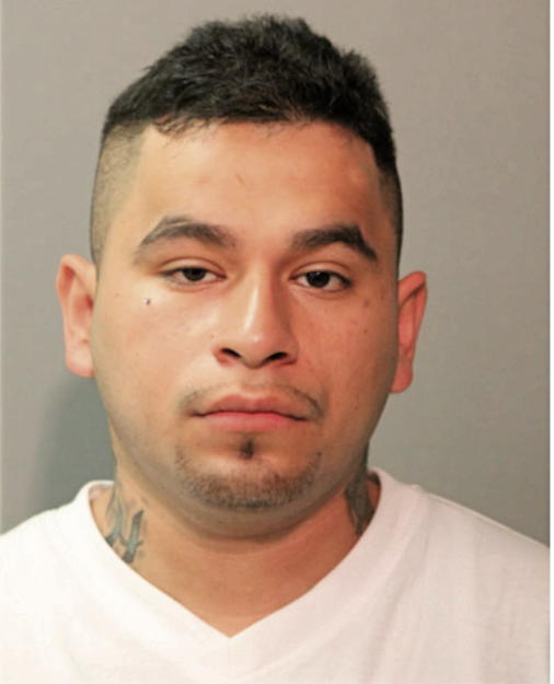 SAUL I OCAMPO, Cook County, Illinois